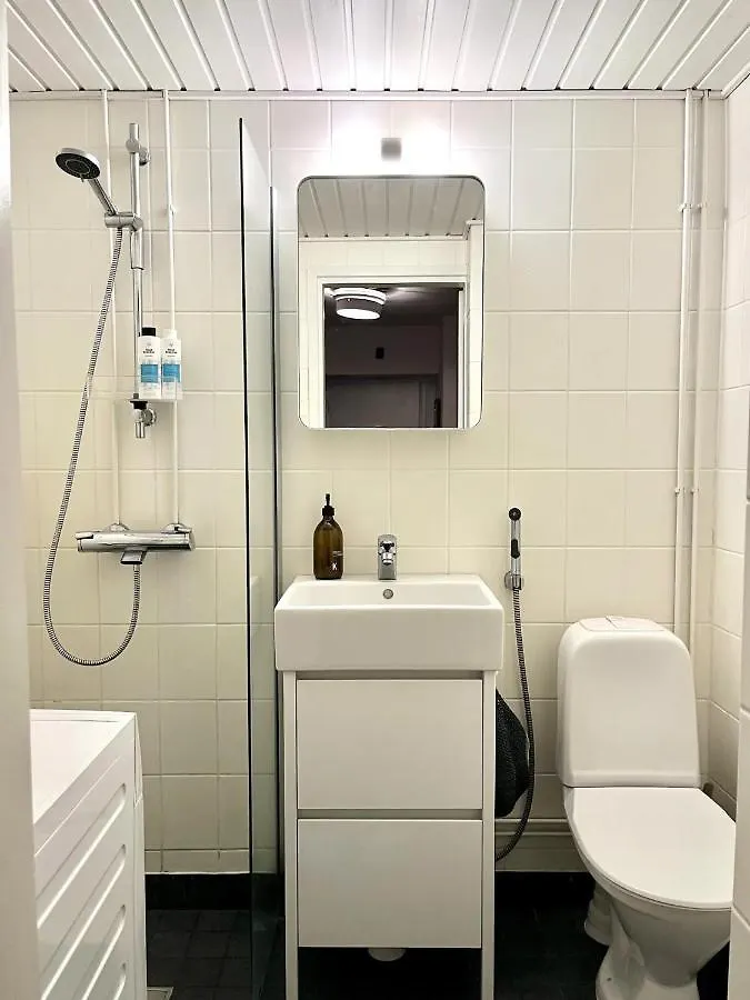 Spacious Top Floor Apartment With Terrace & Remote Working Helsinki 0*,  Finland